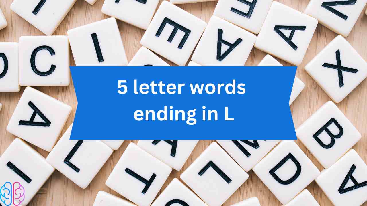 5 letter words ending in L